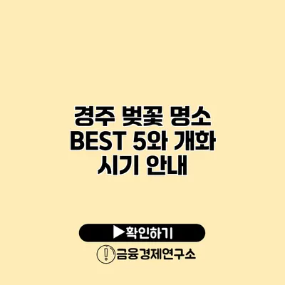 경주 벚꽃 명소 BEST 5와 개화 시기 안내