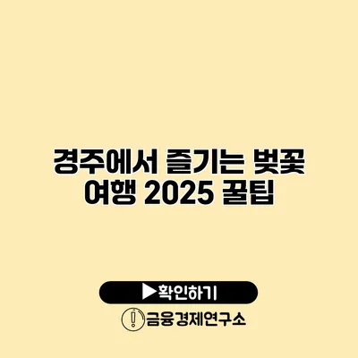 경주에서 즐기는 벚꽃 여행 2025 꿀팁