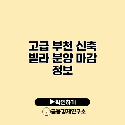 고급 부천 신축 빌라 분양 마감 정보