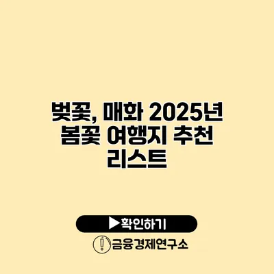 벚꽃, 매화 2025년 봄꽃 여행지 추천 리스트