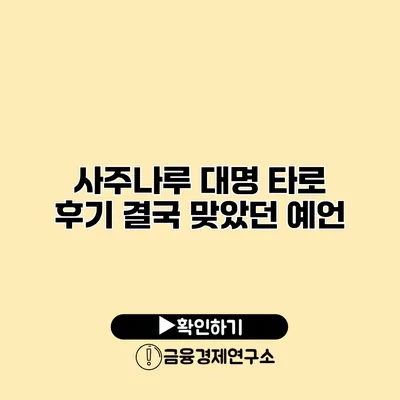 사주나루 대명 타로 후기 결국 맞았던 예언