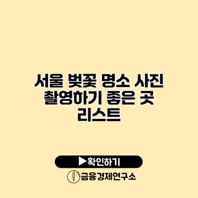 서울 벚꽃 명소 사진 촬영하기 좋은 곳 리스트