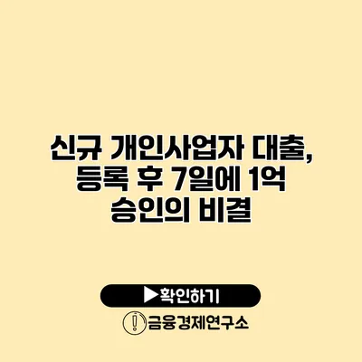 신규 개인사업자 대출, 등록 후 7일에 1억 승인의 비결