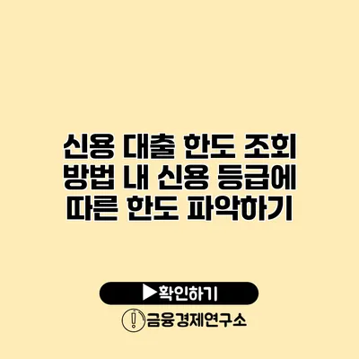 신용 대출 한도 조회 방법 내 신용 등급에 따른 한도 파악하기