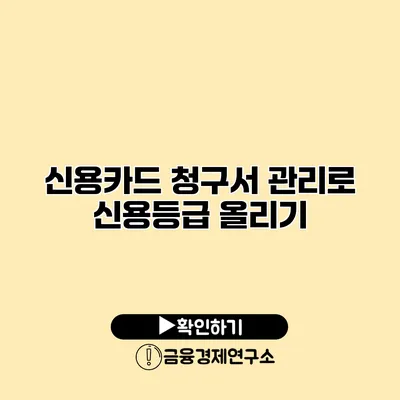신용카드 청구서 관리로 신용등급 올리기