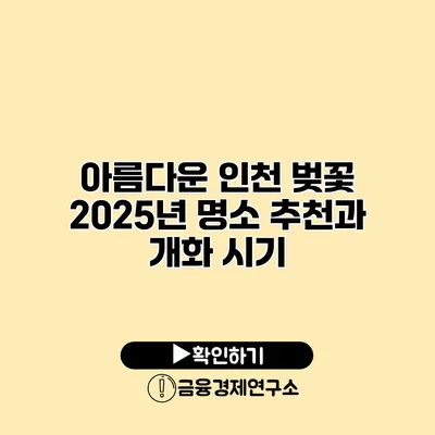 아름다운 인천 벚꽃 2025년 명소 추천과 개화 시기