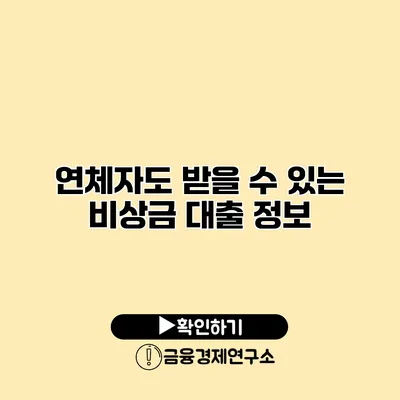 연체자도 받을 수 있는 비상금 대출 정보