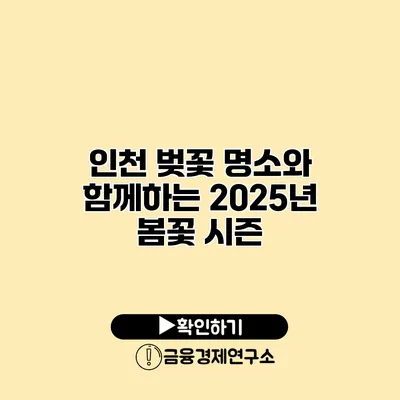 인천 벚꽃 명소와 함께하는 2025년 봄꽃 시즌