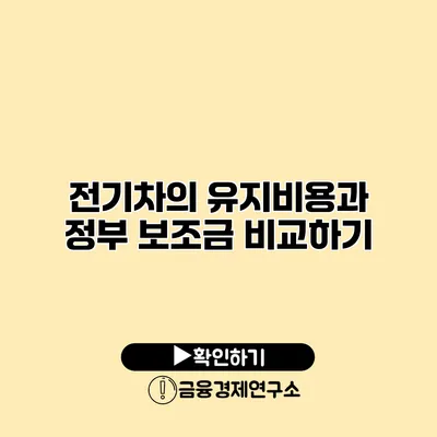 전기차의 유지비용과 정부 보조금 비교하기