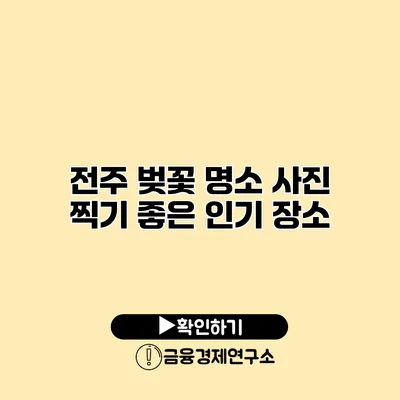 전주 벚꽃 명소 사진 찍기 좋은 인기 장소