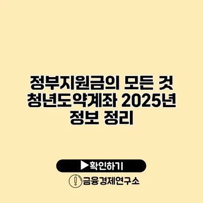 정부지원금의 모든 것 청년도약계좌 2025년 정보 정리