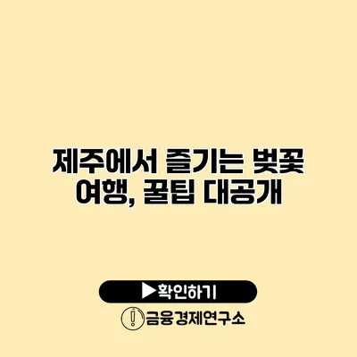 제주에서 즐기는 벚꽃 여행, 꿀팁 대공개
