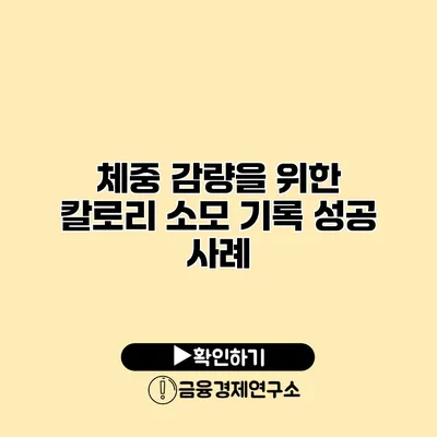 체중 감량을 위한 칼로리 소모 기록 성공 사례