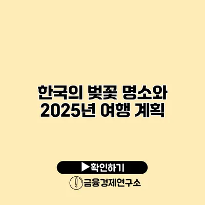 한국의 벚꽃 명소와 2025년 여행 계획