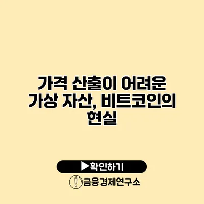 가격 산출이 어려운 가상 자산, 비트코인의 현실