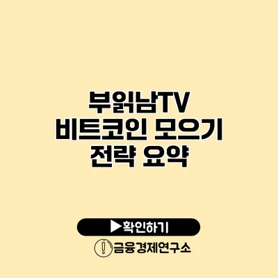 부읽남TV 비트코인 모으기 전략 요약